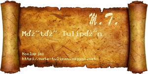 Máté Tulipán névjegykártya